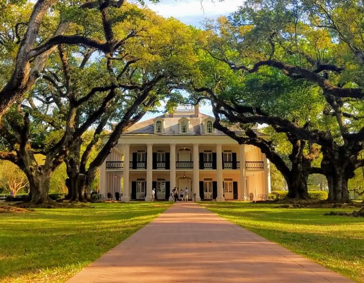 oak alley plantation